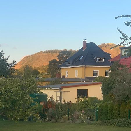 Ferienwohnung Bleicherode Екстериор снимка