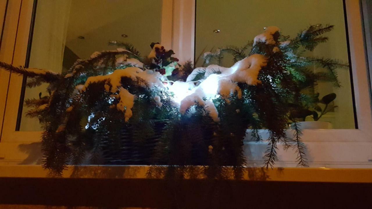 Ferienwohnung Bleicherode Екстериор снимка