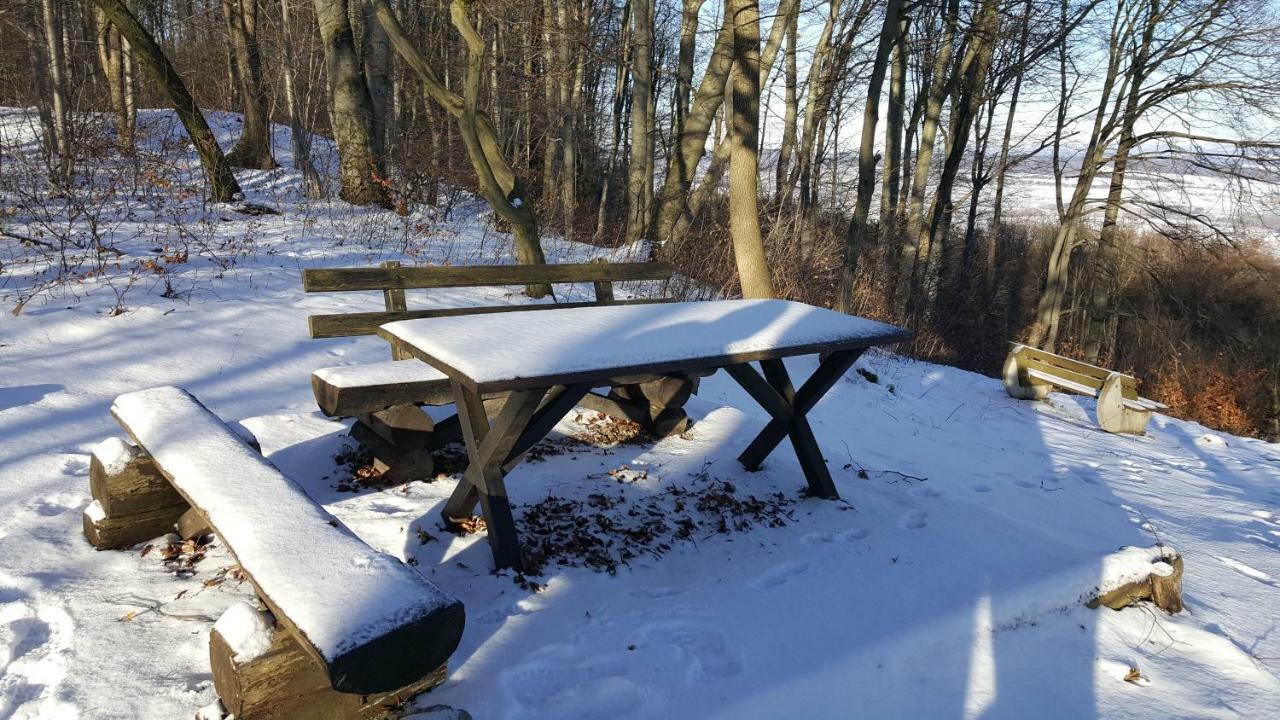 Ferienwohnung Bleicherode Екстериор снимка