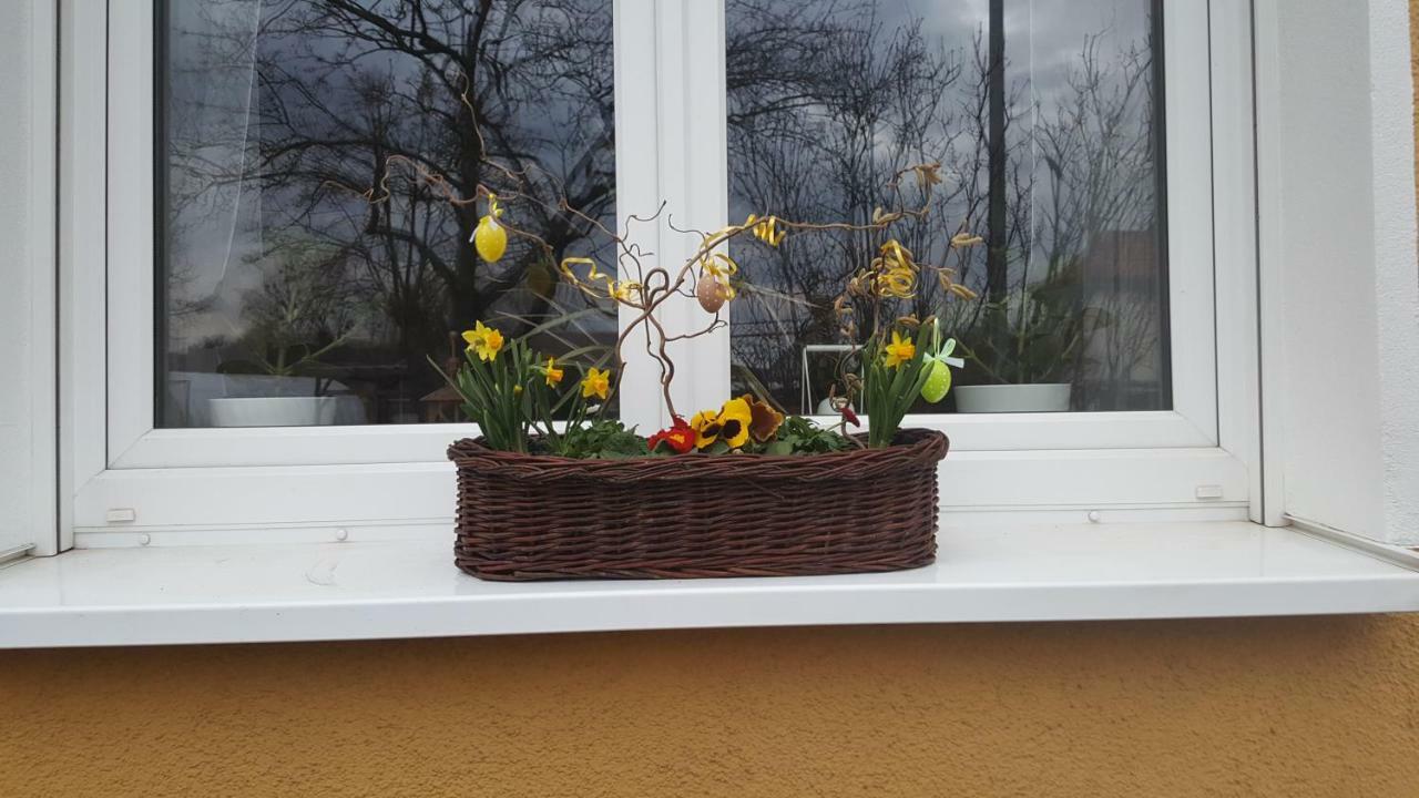 Ferienwohnung Bleicherode Екстериор снимка